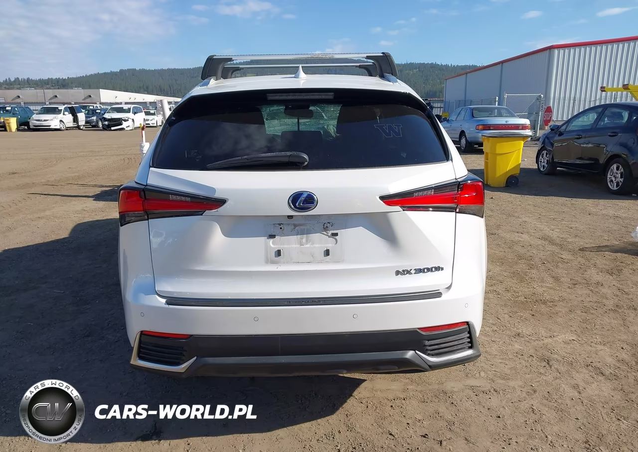 2019 Lexus Nx 300H VIN:JTJBJRBZXK2104862 - 16