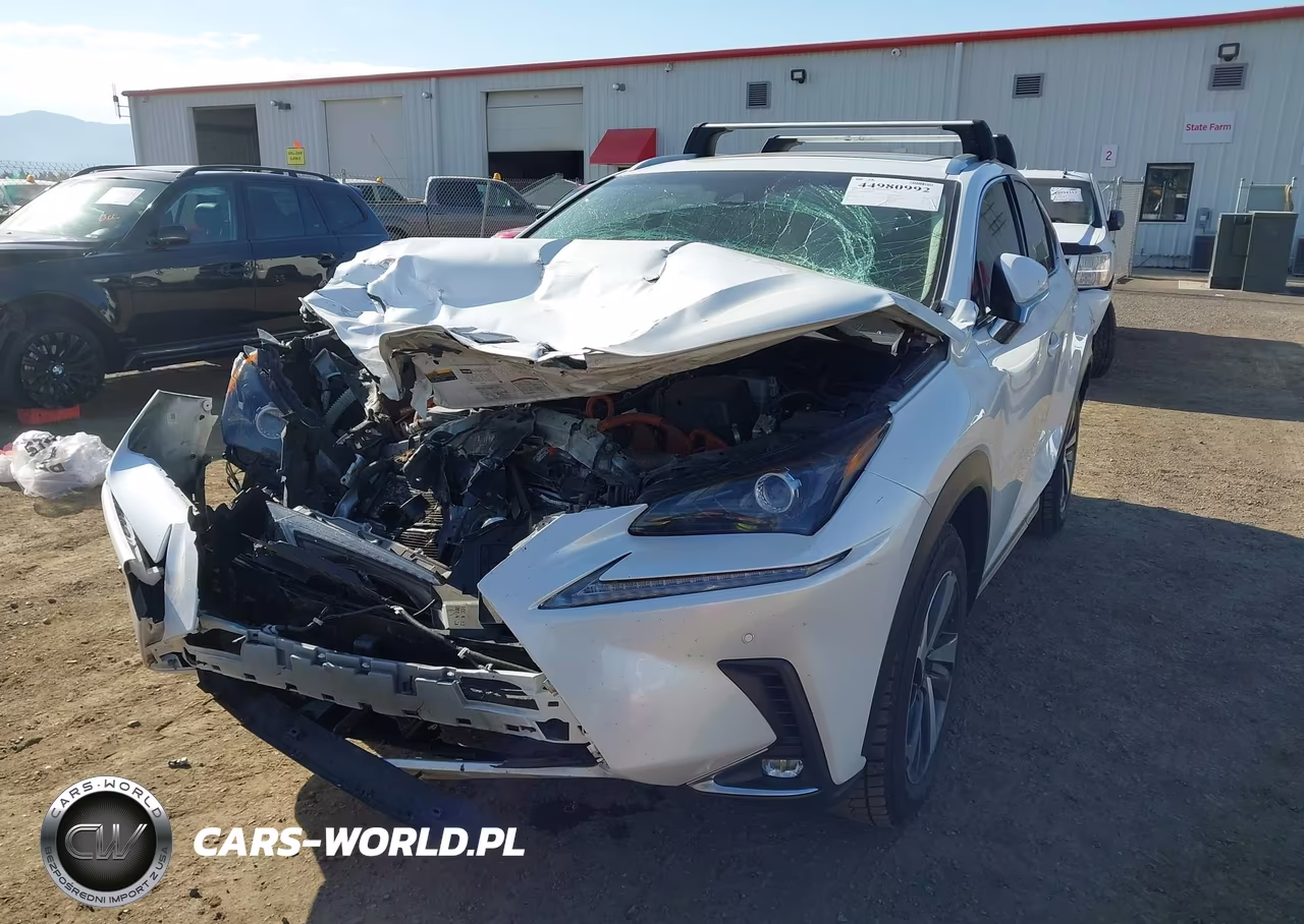 2019 Lexus Nx 300H VIN:JTJBJRBZXK2104862 - 17