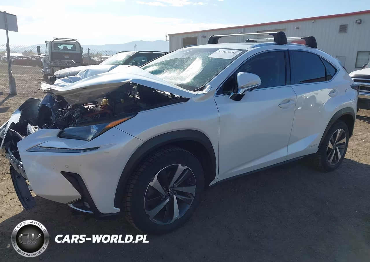 2019 Lexus Nx 300H VIN:JTJBJRBZXK2104862 - 2