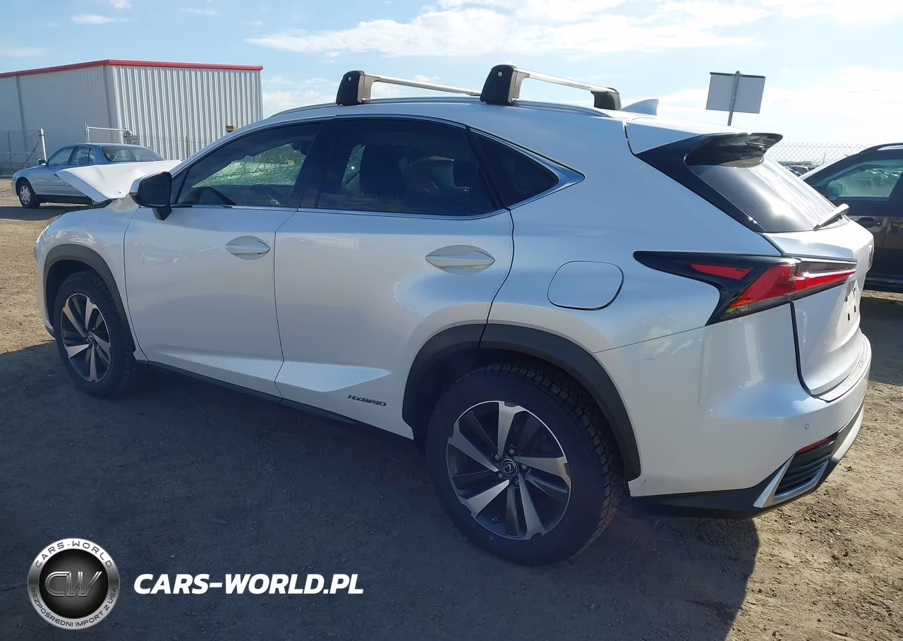 2019 Lexus Nx 300H VIN:JTJBJRBZXK2104862 - 3