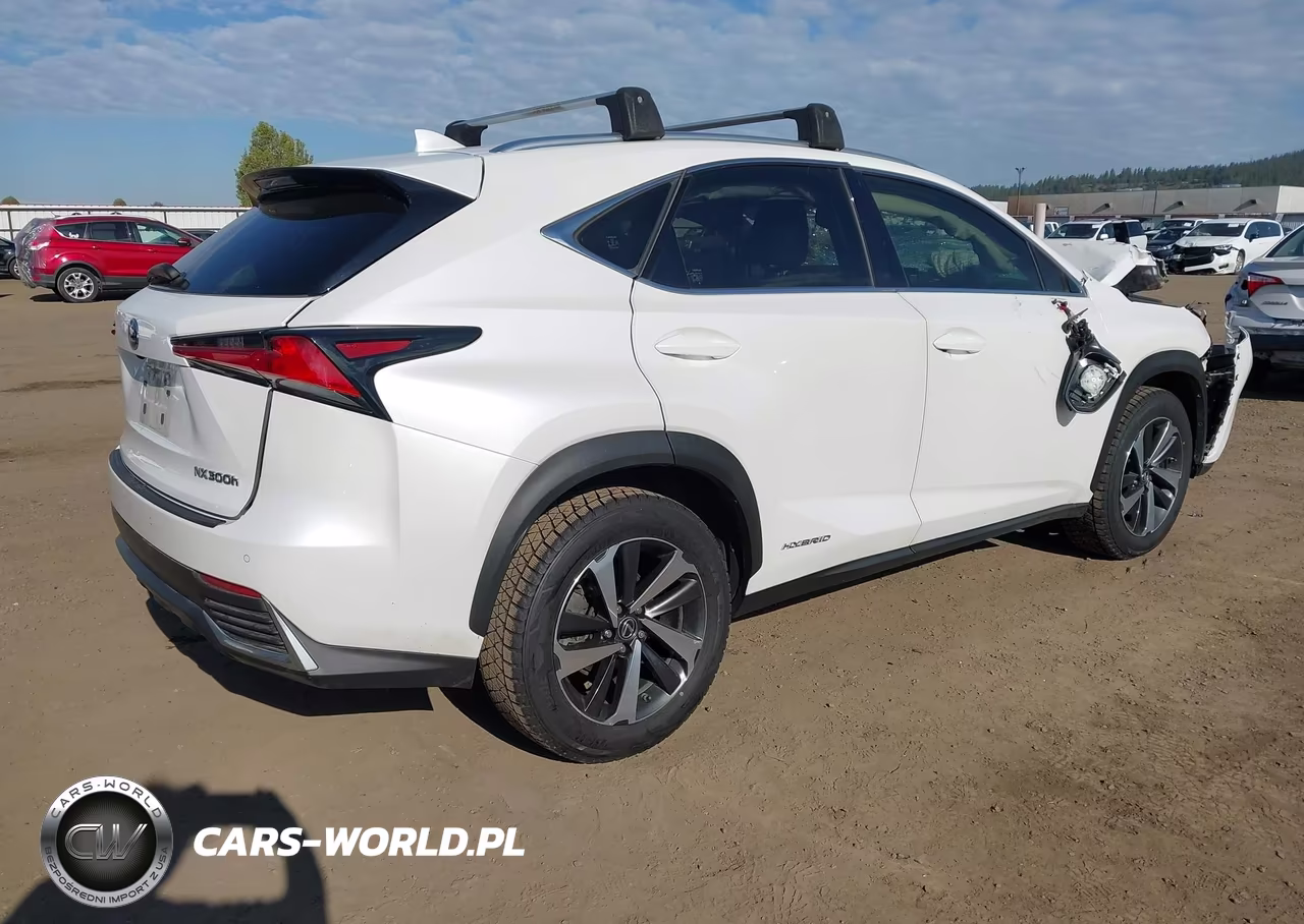 2019 Lexus Nx 300H VIN:JTJBJRBZXK2104862 - 4