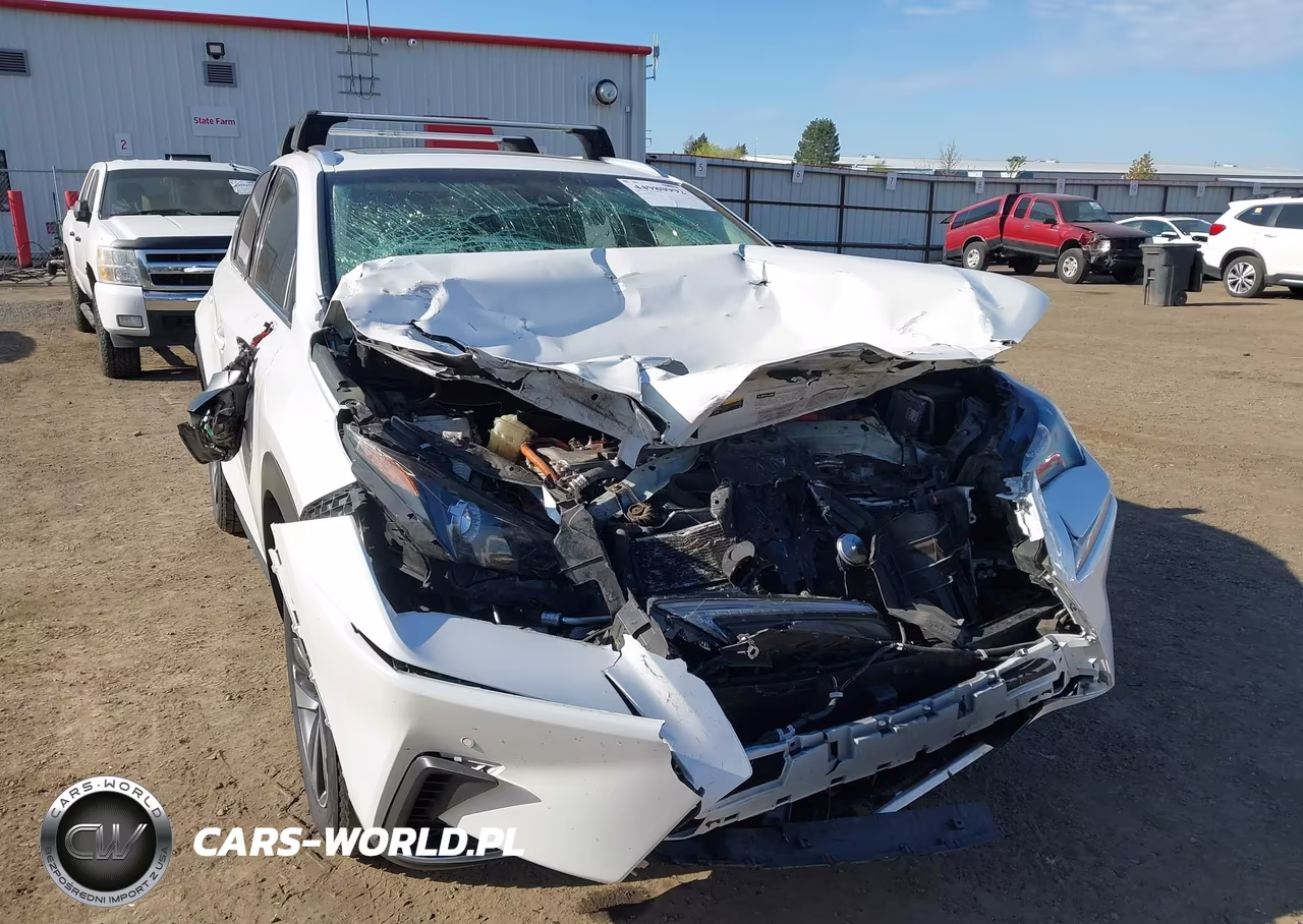 2019 Lexus Nx 300H VIN:JTJBJRBZXK2104862 - 6