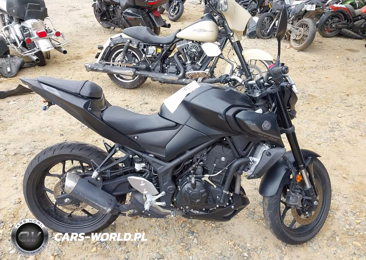 2021 Yamaha Mt-03 VIN:MH3RH20Y3MK003956 - 12