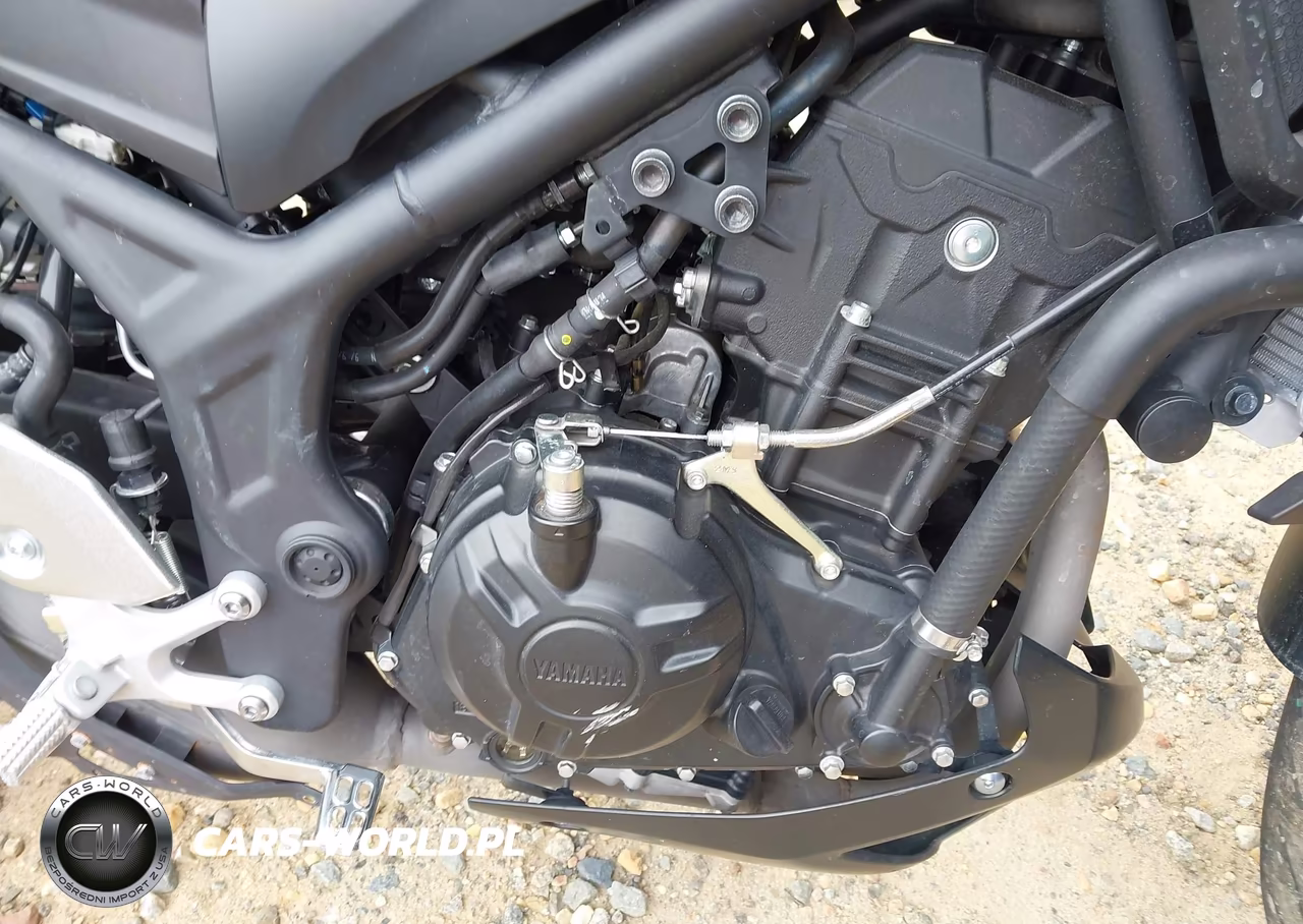 2021 Yamaha Mt-03 VIN:MH3RH20Y3MK003956 - 8