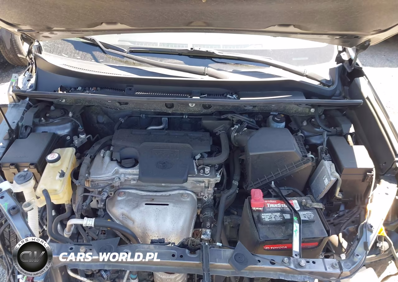 2018 Toyota Rav4 Xle VIN:JTMRFREV3JD254939 - 10