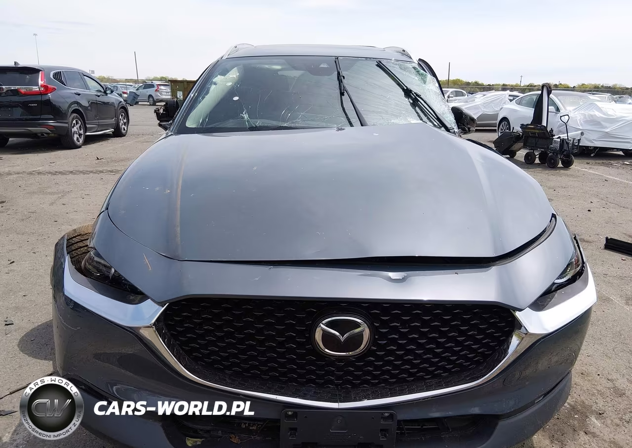 2021 Mazda Cx-30 2.5 Turbo VIN:3MVDMBAY0MM300435 - 12