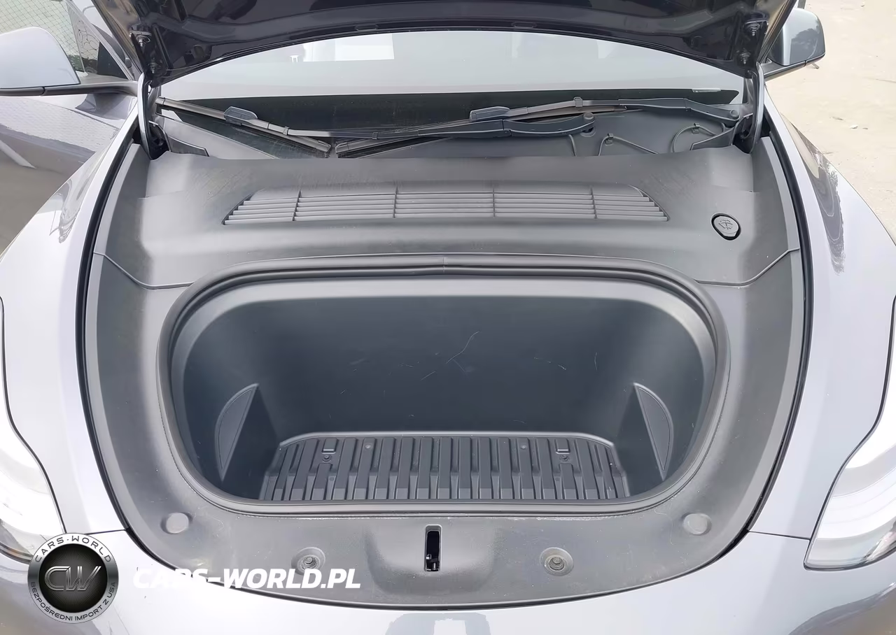 2023 Tesla Model Y Performance Dual Motor All-Wheel Drive VIN:7SAYGDEF4PF647213 - 10