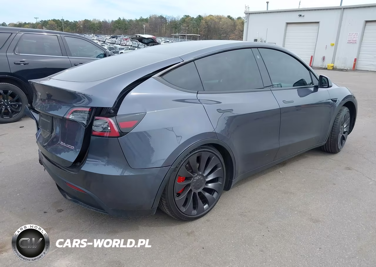 2023 Tesla Model Y Performance Dual Motor All-Wheel Drive VIN:7SAYGDEF4PF647213 - 4