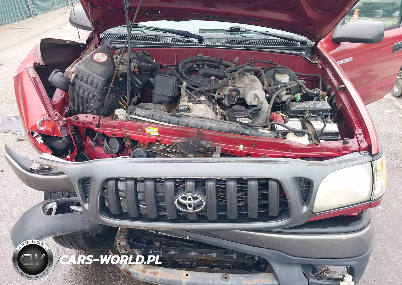 2004 Toyota Tacoma VIN:5TEPM62N04Z428803 - 10