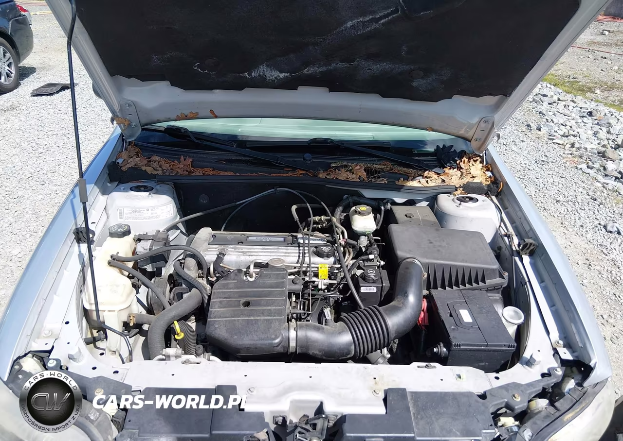 2005 Chevrolet Classic VIN:1G1ND52F35M217043 - 10