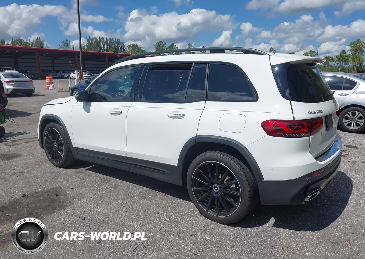 2023 Mercedes-Benz Glb 250 VIN:W1N4M4GB0PW317362 - 3