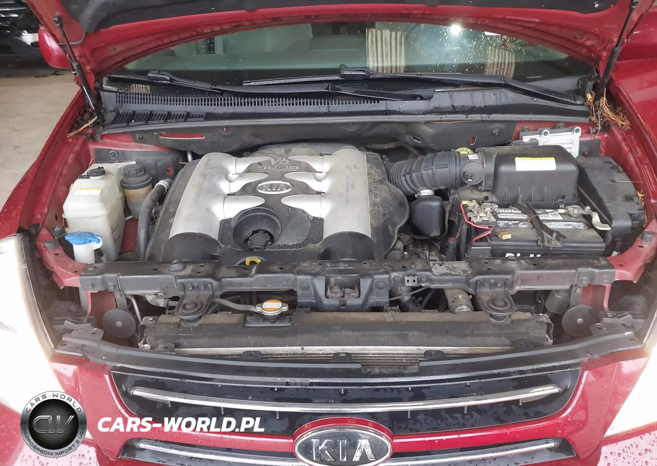2006 Kia Sedona Ex-Lx VIN:KNDMB233366083491 - 10