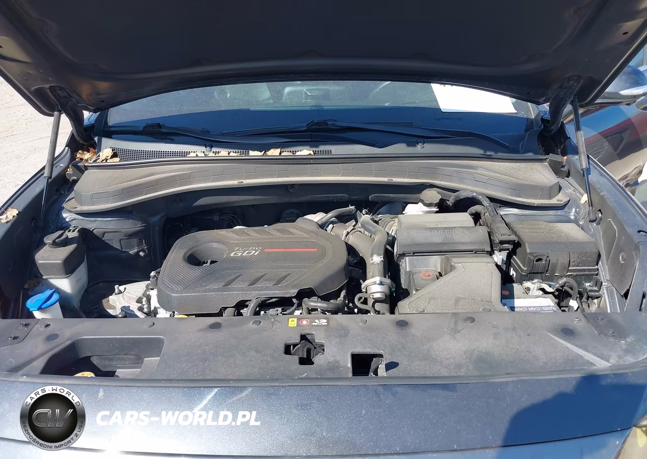 2020 Hyundai Santa Fe Limited 2.0T VIN:5NMS53AA6LH222842 - 10