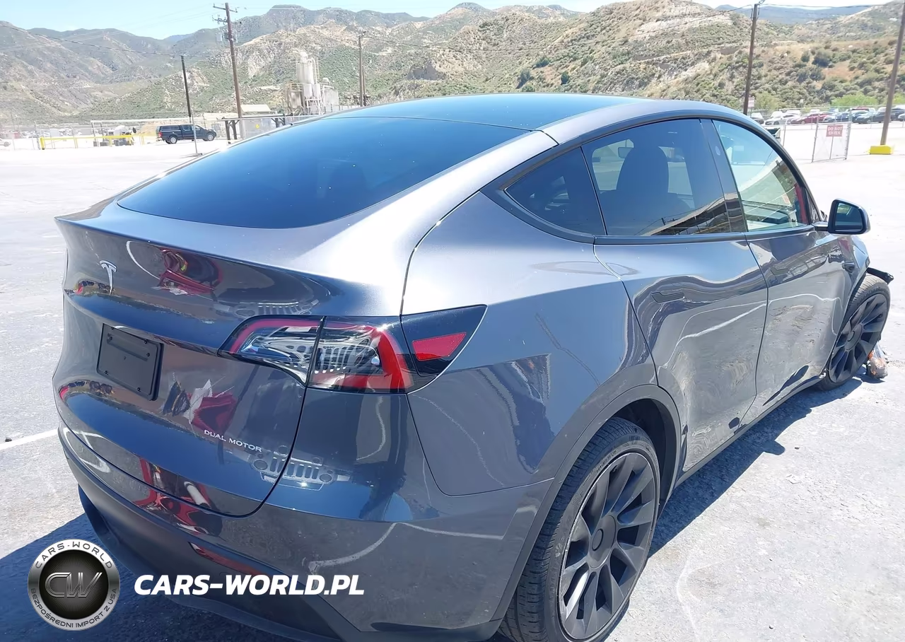 2023 Tesla Model Y VIN:7SAYGDEE1PF891361 - 4