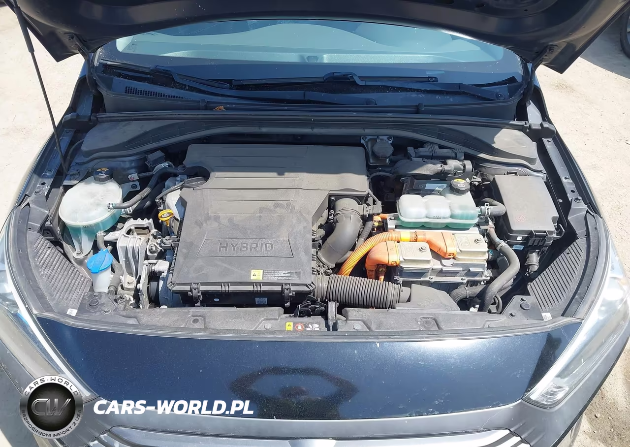 2019 Hyundai Ioniq Hybrid Blue VIN:KMHC65LC4KU123791 - 10