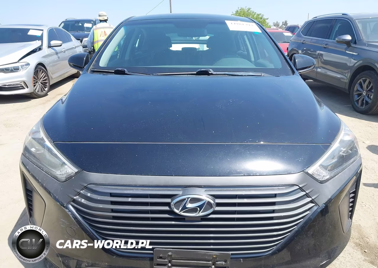 2019 Hyundai Ioniq Hybrid Blue VIN:KMHC65LC4KU123791 - 12