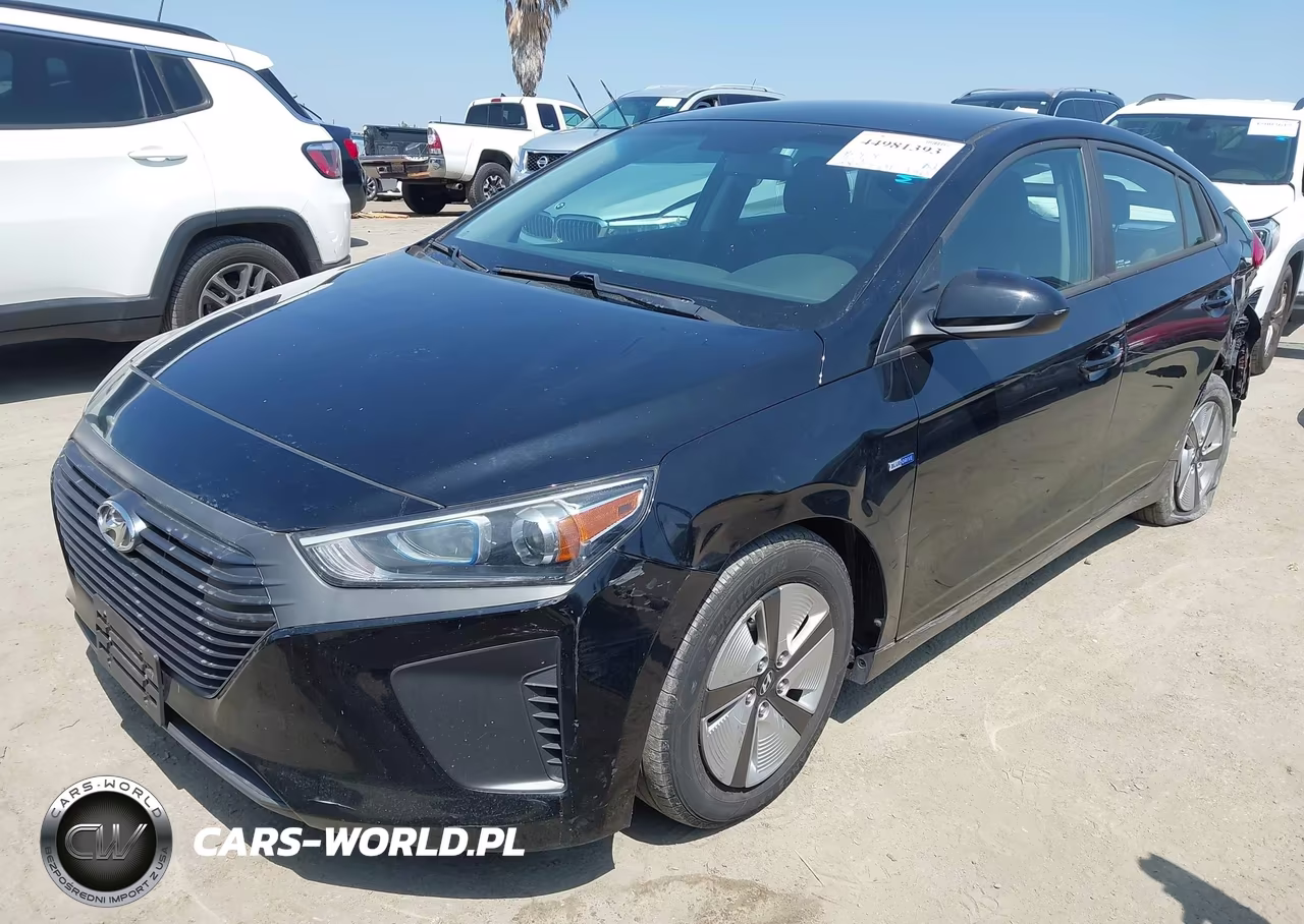 2019 Hyundai Ioniq Hybrid Blue VIN:KMHC65LC4KU123791 - 2