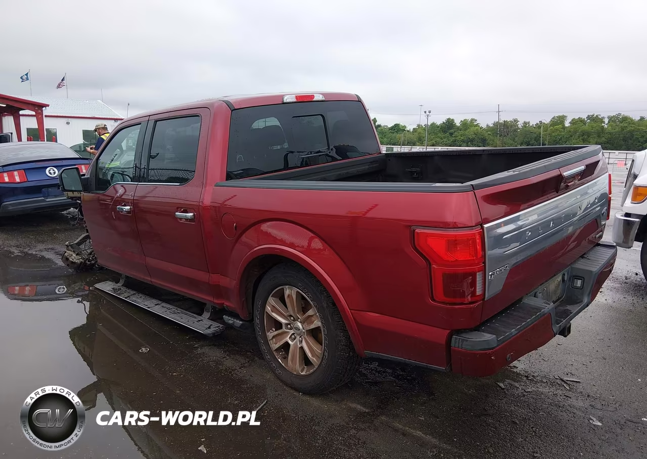 2018 Ford F-150 Platinum VIN:1FTEW1CG1JFD66860 - 15