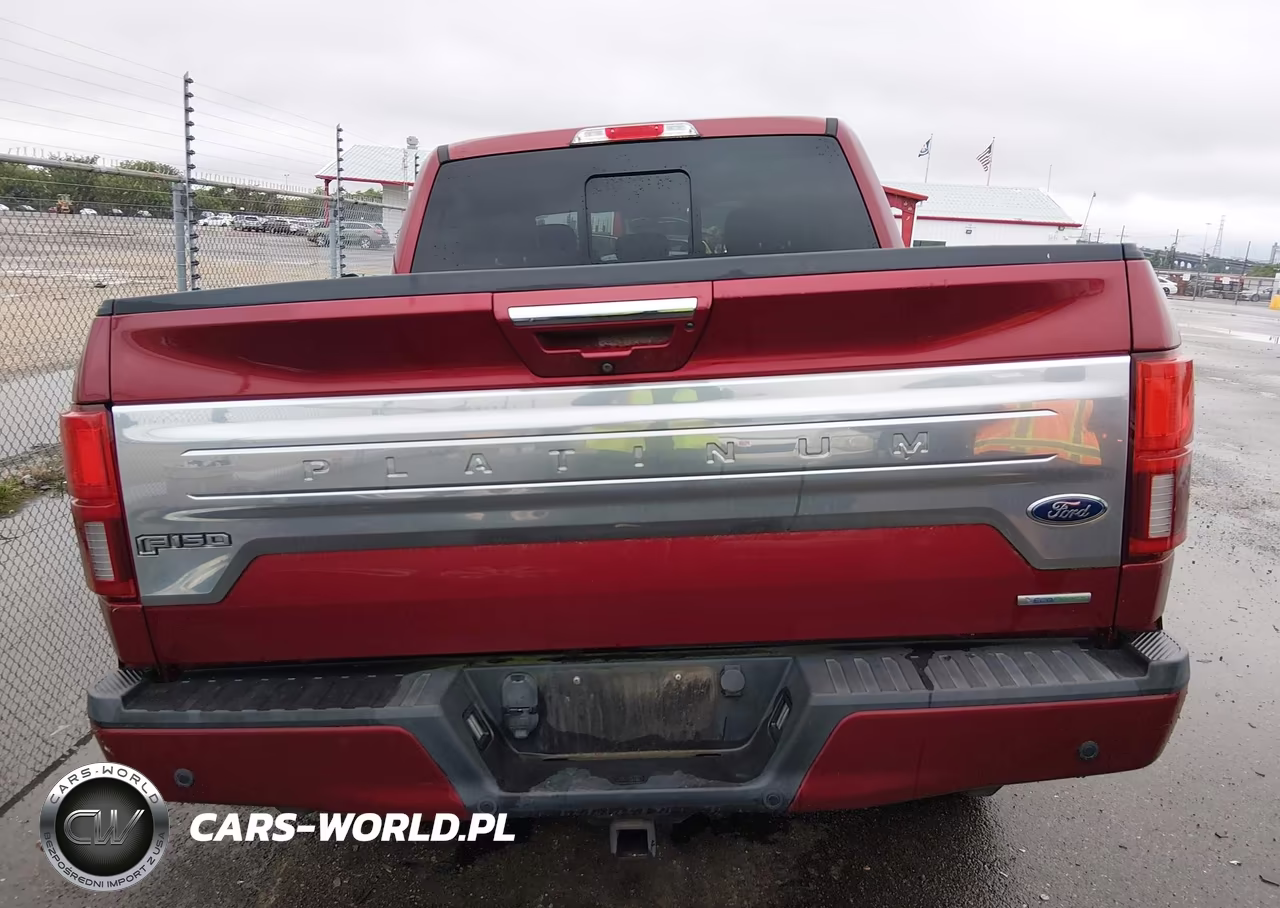 2018 Ford F-150 Platinum VIN:1FTEW1CG1JFD66860 - 17