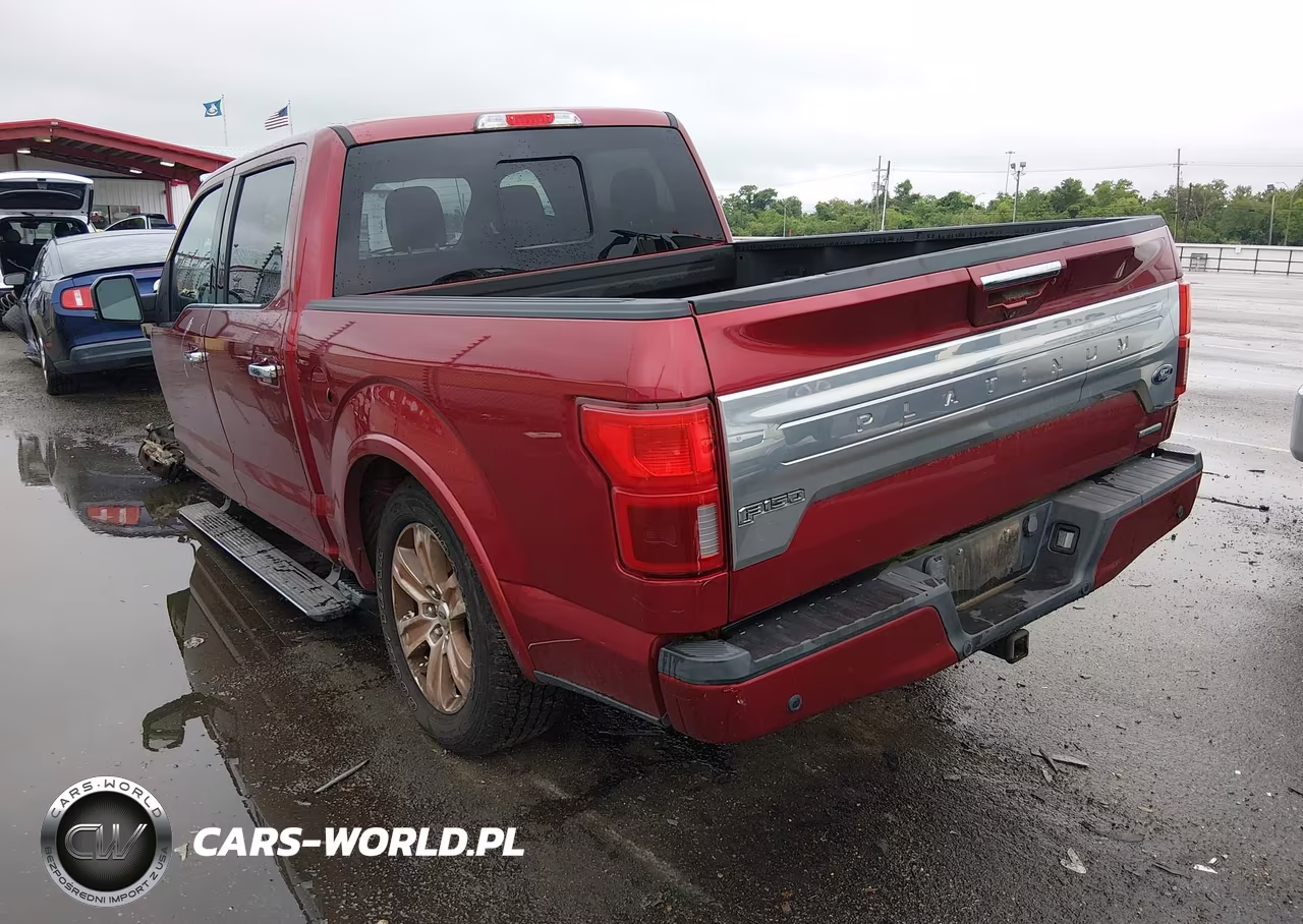 2018 Ford F-150 Platinum VIN:1FTEW1CG1JFD66860 - 3