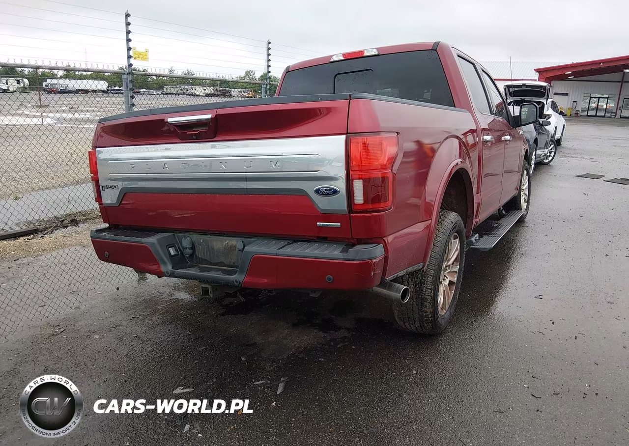 2018 Ford F-150 Platinum VIN:1FTEW1CG1JFD66860 - 4