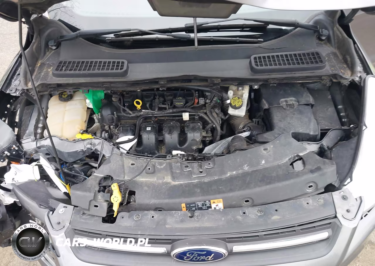2014 Ford Escape Se VIN:1FMCU9G96EUC31362 - 10