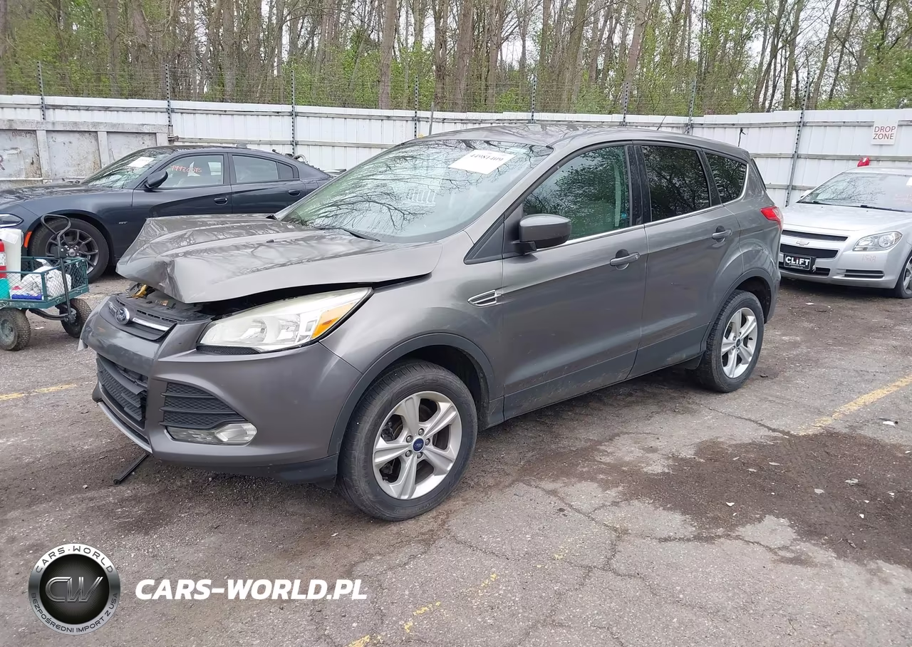 2014 Ford Escape Se VIN:1FMCU9G96EUC31362 - 2