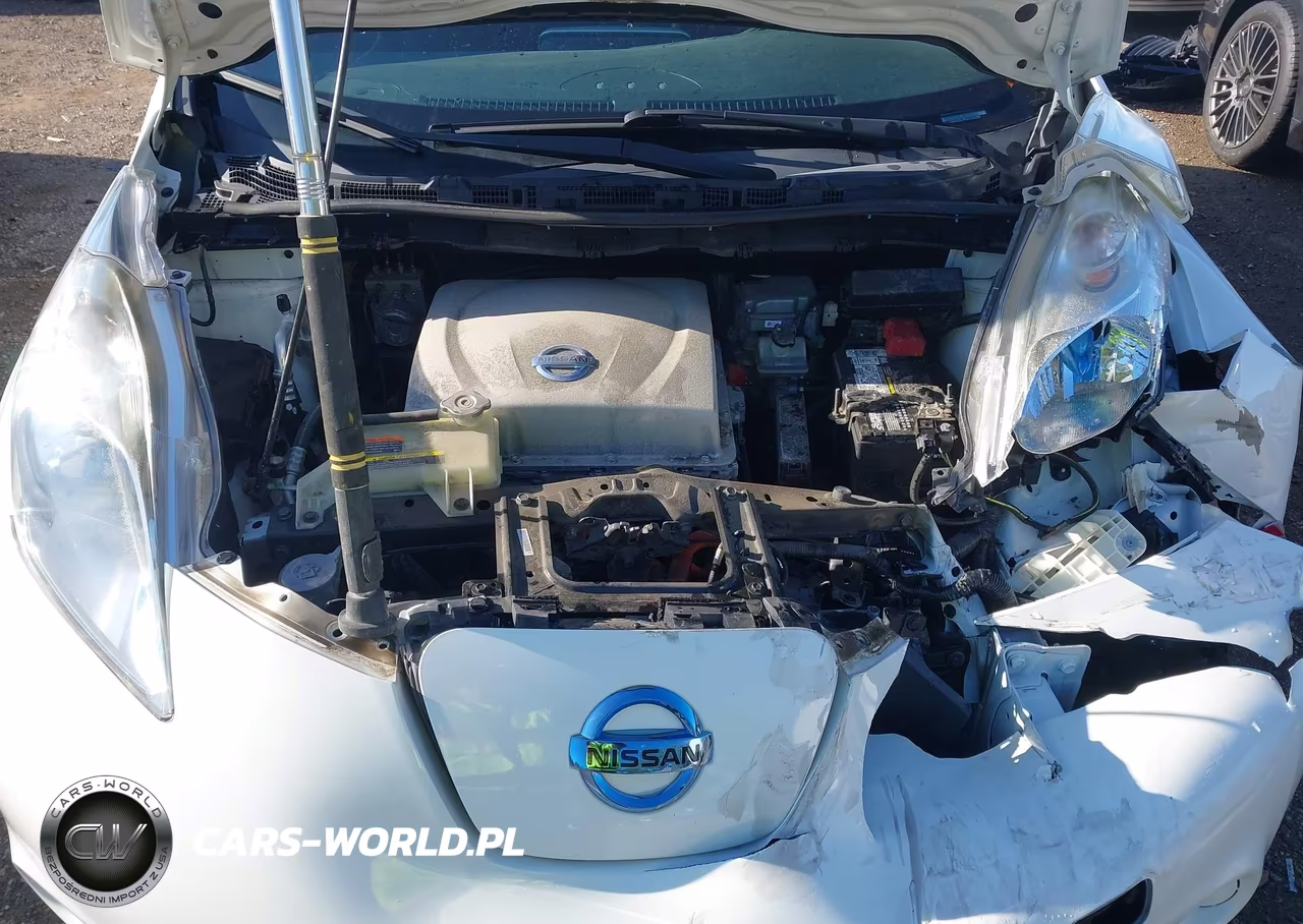 2014 Nissan Leaf S VIN:1N4AZ0CP5EC333289 - 10