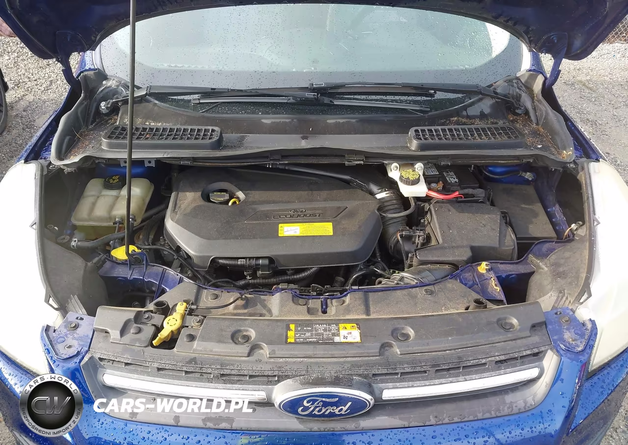 2013 Ford Escape Se VIN:1FMCU0GX8DUC88039 - 10