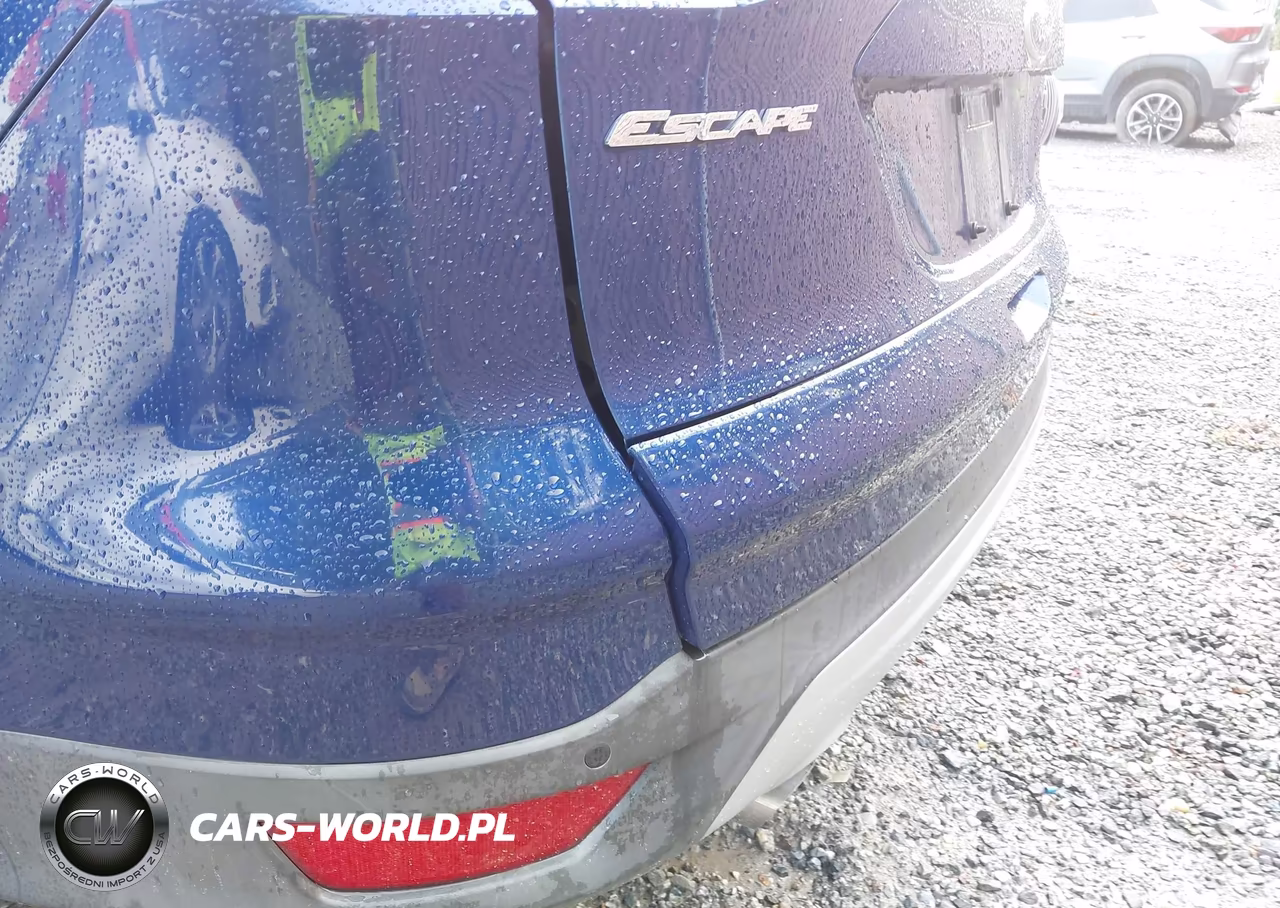 2013 Ford Escape Se VIN:1FMCU0GX8DUC88039 - 13