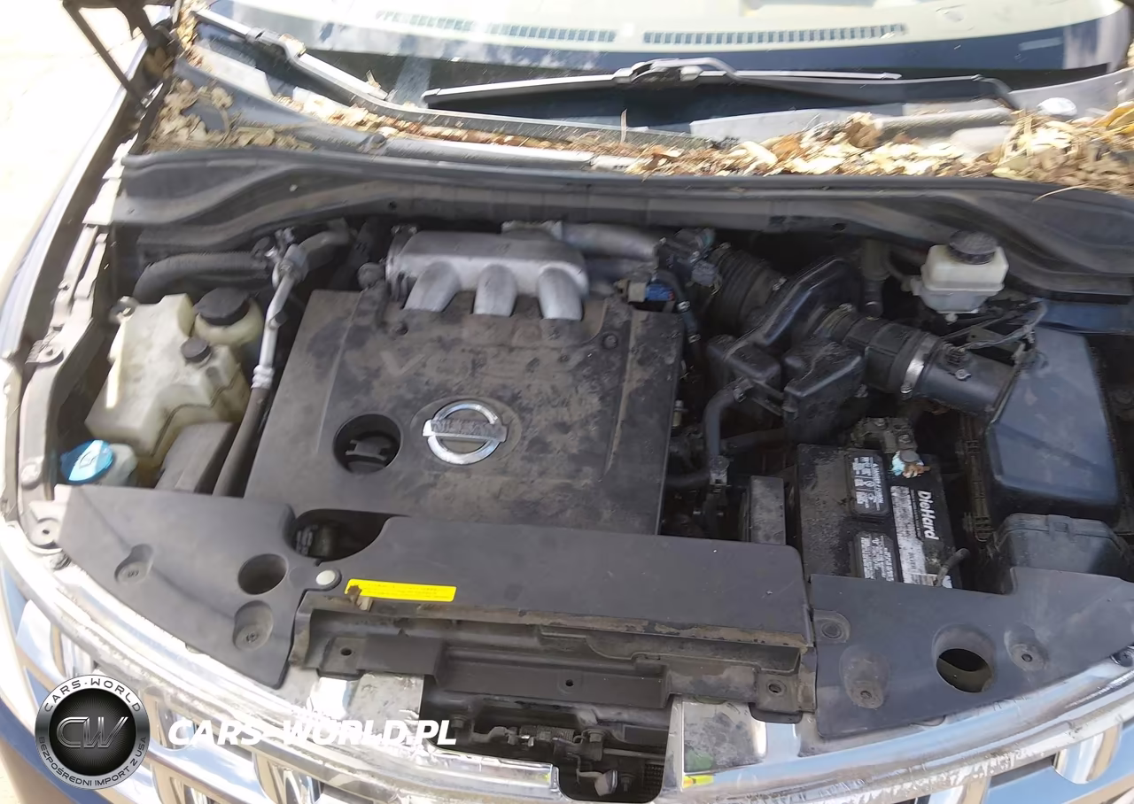 2005 Nissan Murano Se VIN:JN8AZ08W75W431589 - 10
