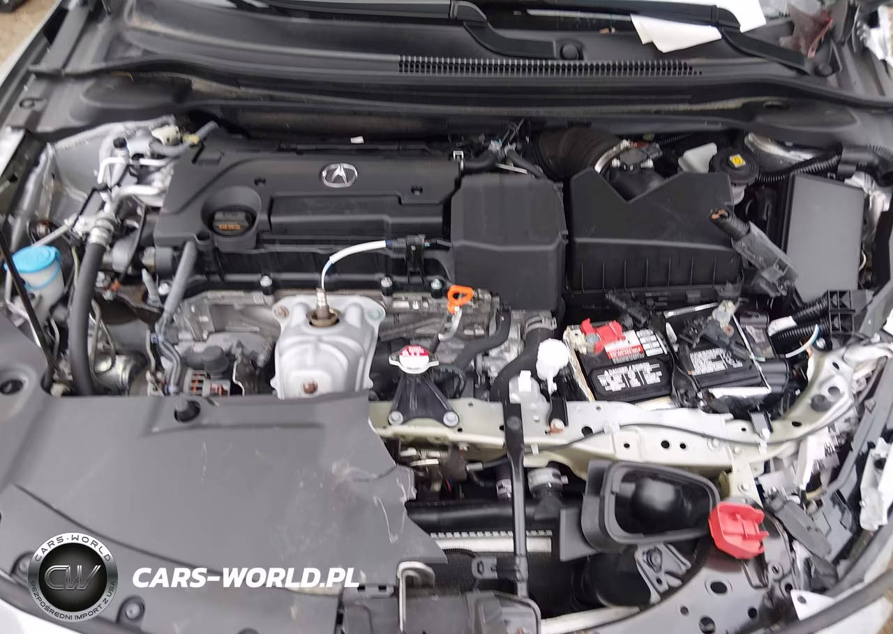 2019 Acura Ilx Premium Package-Technology Package VIN:19UDE2F71KA013308 - 10