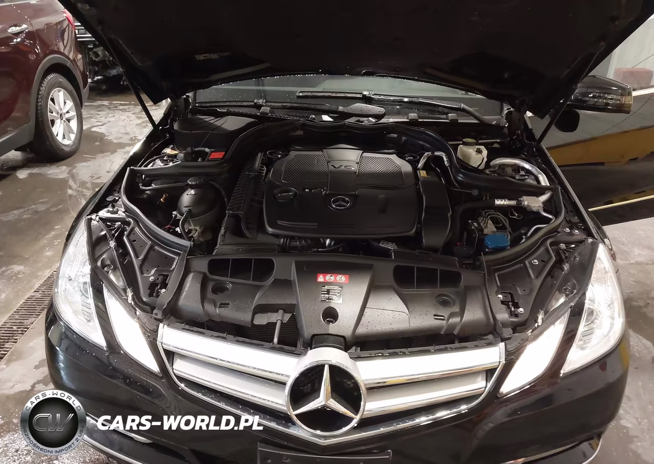 2013 Mercedes-Benz E 350 VIN:WDDKK5KFXDF201480 - 10