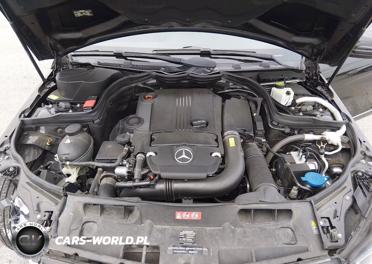 2014 Mercedes-Benz C 250 Sport VIN:WDDGF4HB0ER317764 - 10