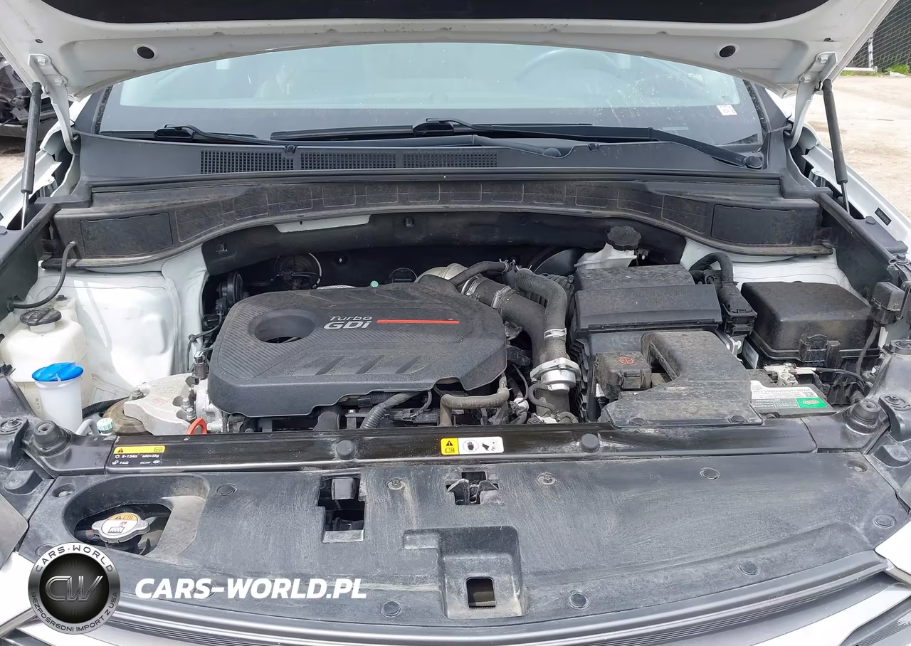 2017 Hyundai Santa Fe Sport 2.0T Ultimate VIN:5NMZWDLA0HH047560 - 10