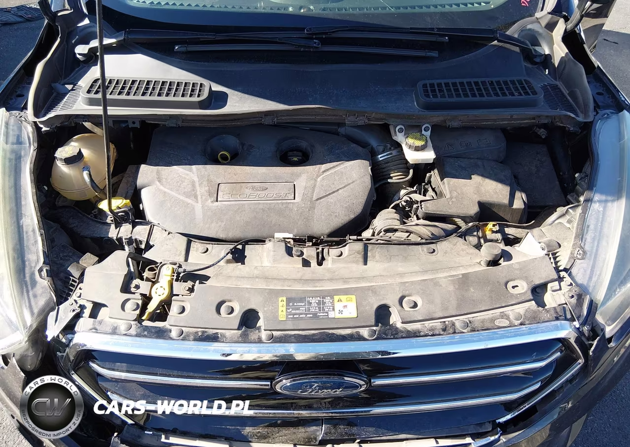 2017 Ford Escape Se VIN:1FMCU0G90HUE73967 - 10
