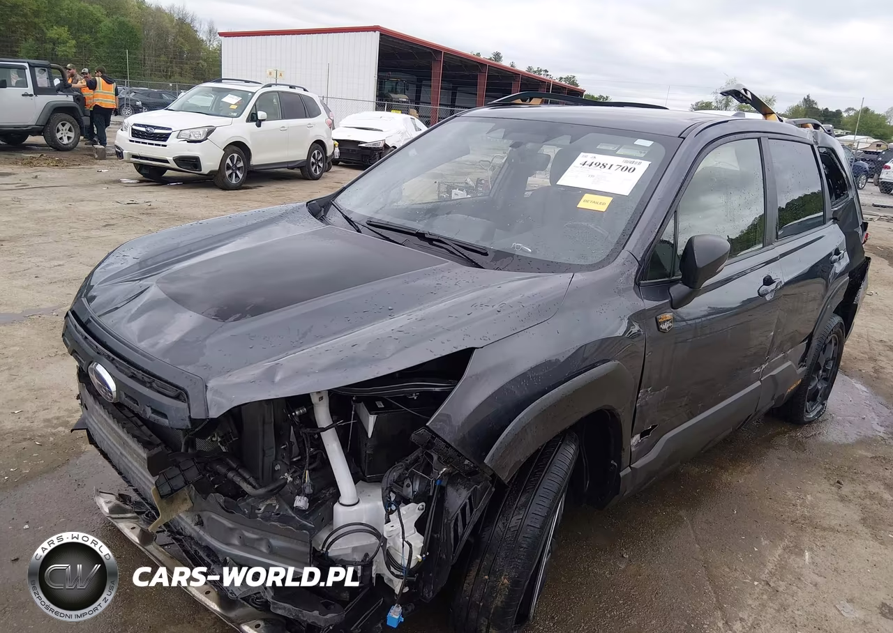2023 Subaru Forester Wilderness VIN:JF2SKAMC9PH431799 - 2
