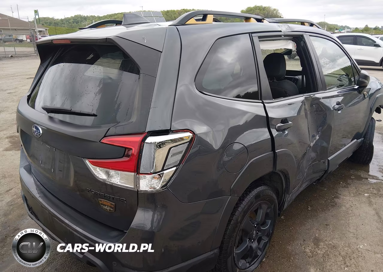 2023 Subaru Forester Wilderness VIN:JF2SKAMC9PH431799 - 4