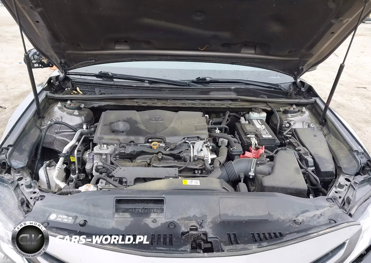 2019 Toyota Camry Se VIN:4T1B11HK5KU817182 - 10