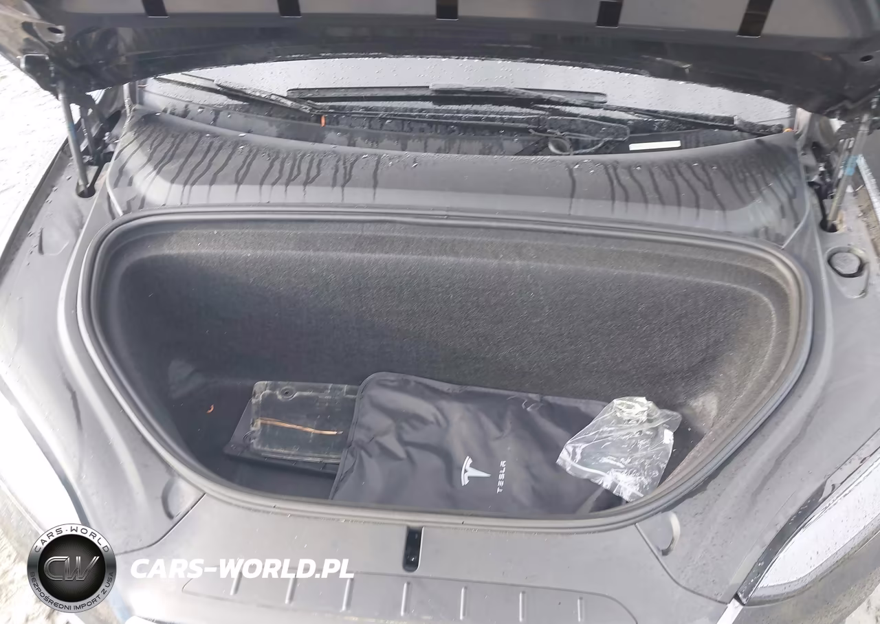 2020 Tesla Model X Long Range Dual Motor All-Wheel Drive-Long Range Plus Dual Motor All-Wheel Drive VIN:5YJXCAE22LF298725 - 10