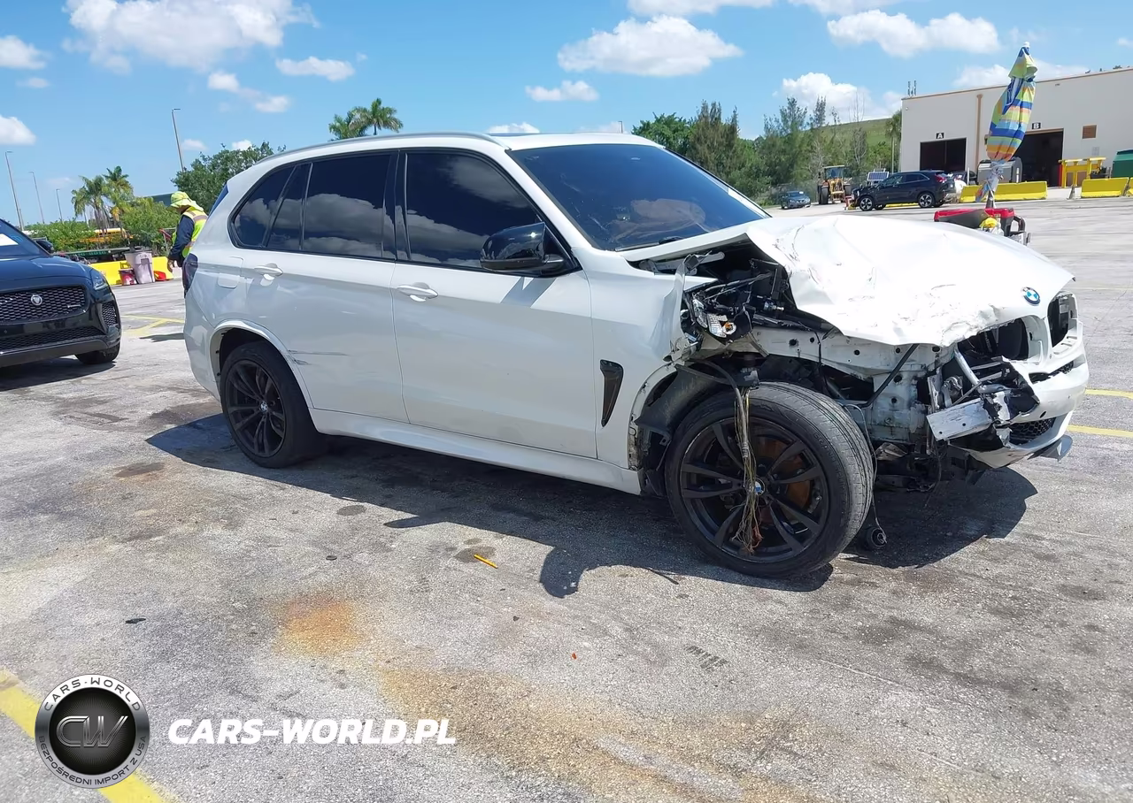 2017 BMW X5 xDrive35I – zdjęcie 1 z 15