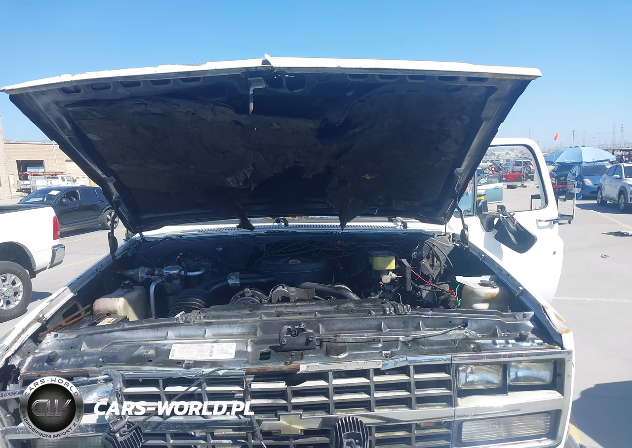 1991 Chevrolet Blazer V10 VIN:1GNEV18KXMF113385 - 10