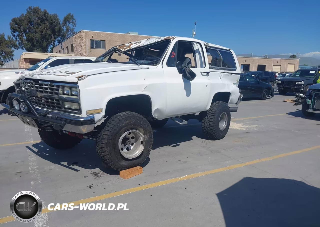 1991 Chevrolet Blazer V10 VIN:1GNEV18KXMF113385 - 2