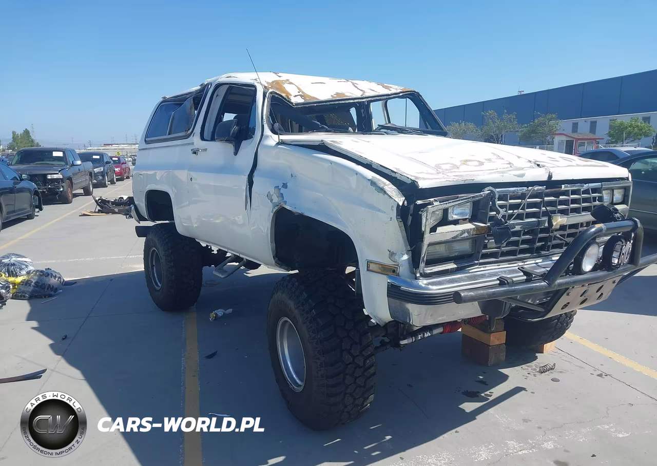 1991 Chevrolet Blazer V10 VIN:1GNEV18KXMF113385 - 6
