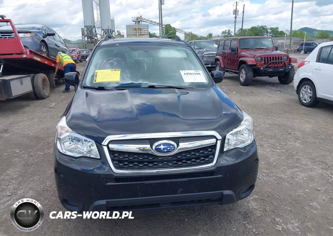 2016 Subaru Forester 2.5I Premium VIN:JF2SJADCXGH447514 - 12