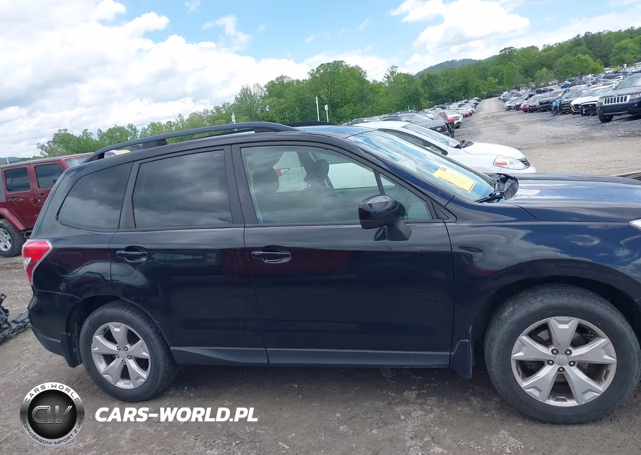 2016 Subaru Forester 2.5I Premium VIN:JF2SJADCXGH447514 - 13