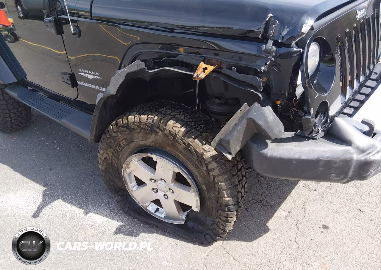 2009 Jeep Wrangler Sahara VIN:1J4FA54179L775165 - 6