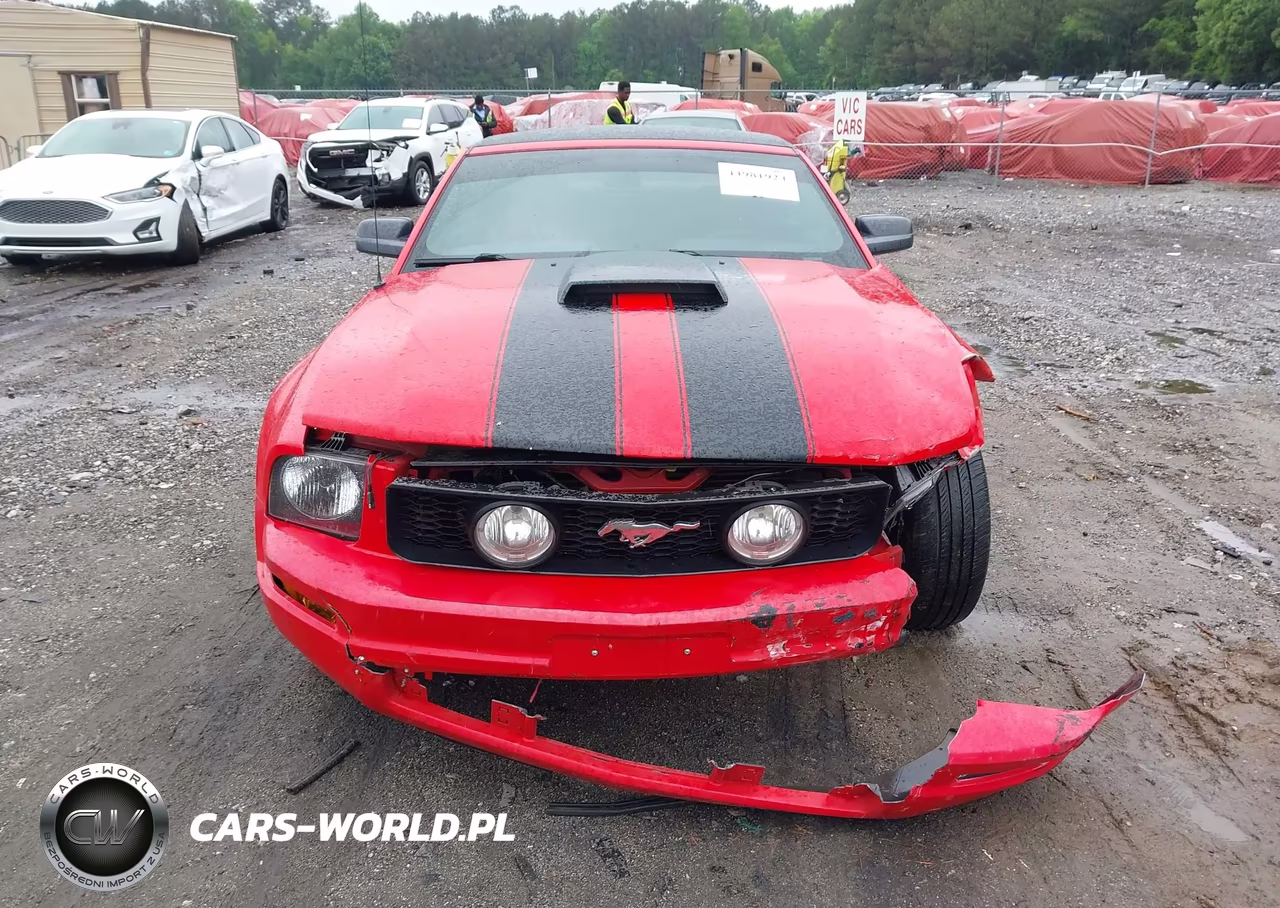 2005 Ford Mustang VIN:1ZVFT84N955194394 - 13