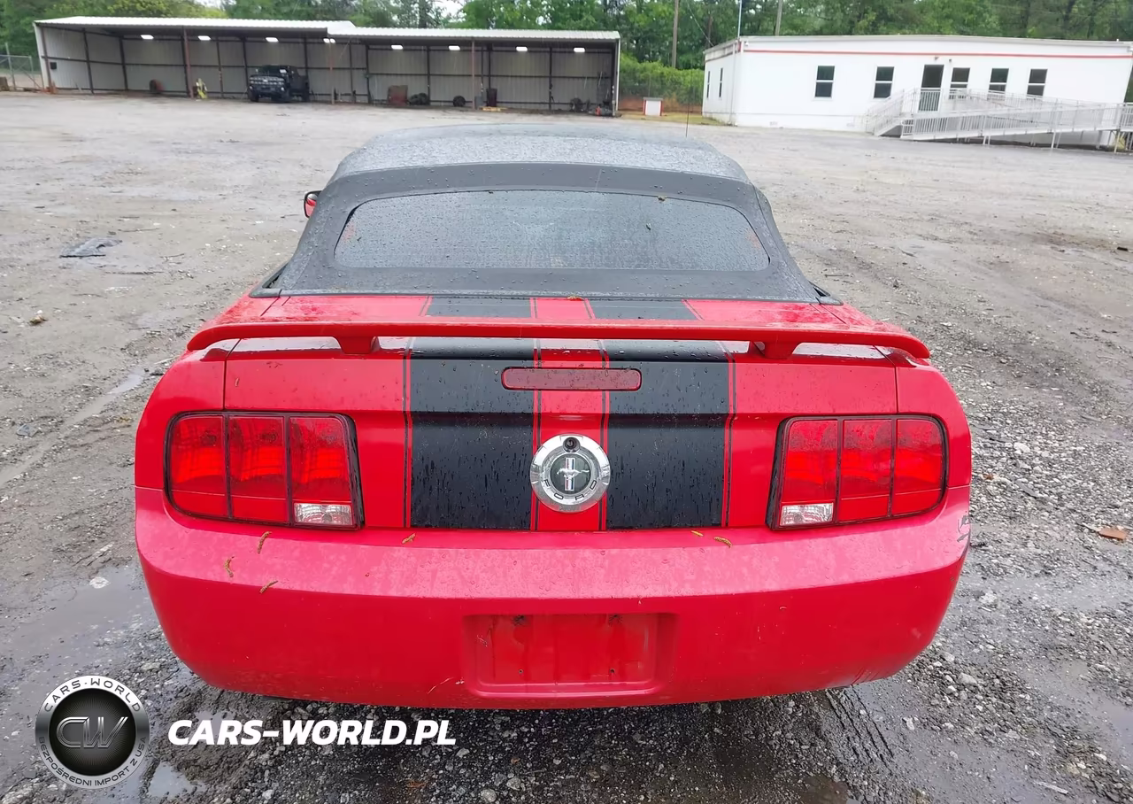 2005 Ford Mustang VIN:1ZVFT84N955194394 - 17