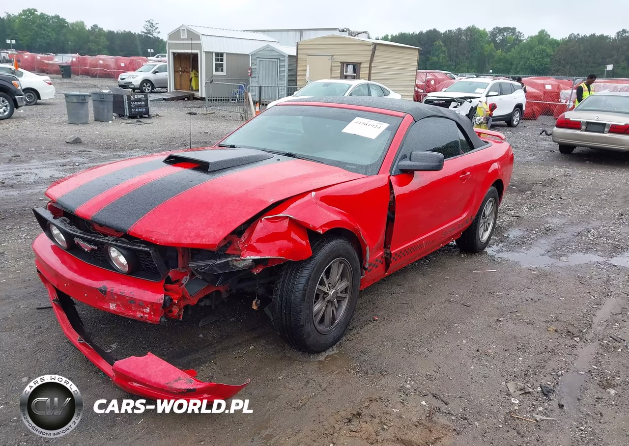 2005 Ford Mustang VIN:1ZVFT84N955194394 - 2